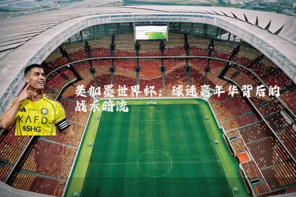 美加墨世界杯:球迷嘉年华背后的战术暗流